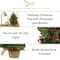 2ft. Pre-Lit Pine Artificial Potted Christmas Tree with Pinecone & Berries, Clear LED Lights